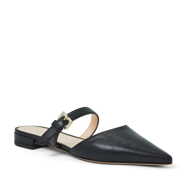 Pasha Mule