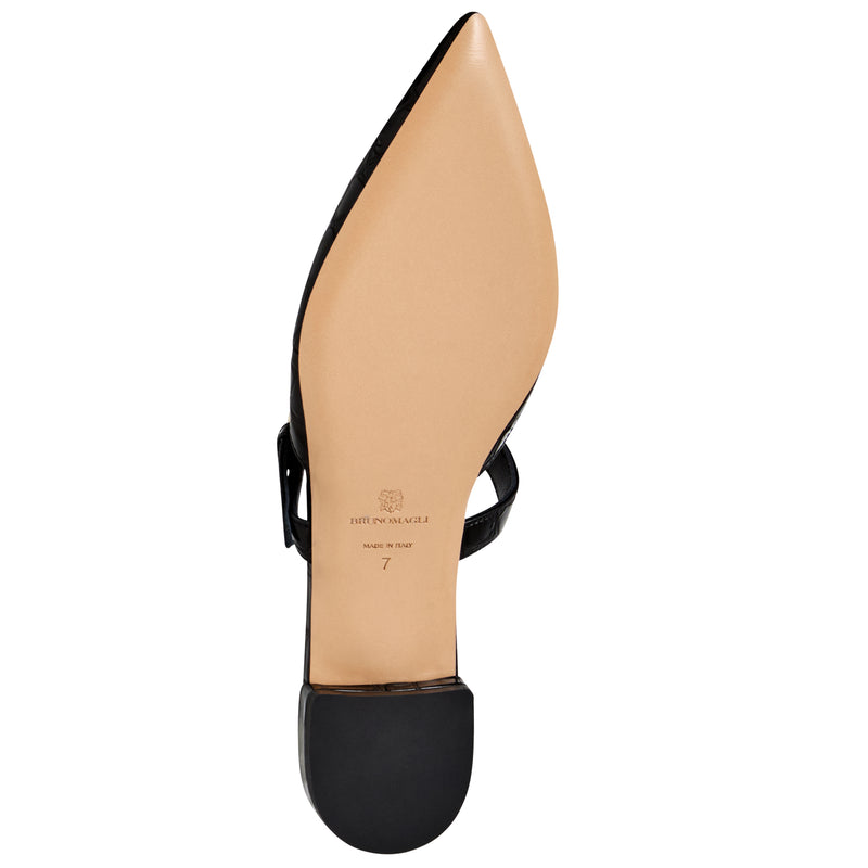 Pasha Mule