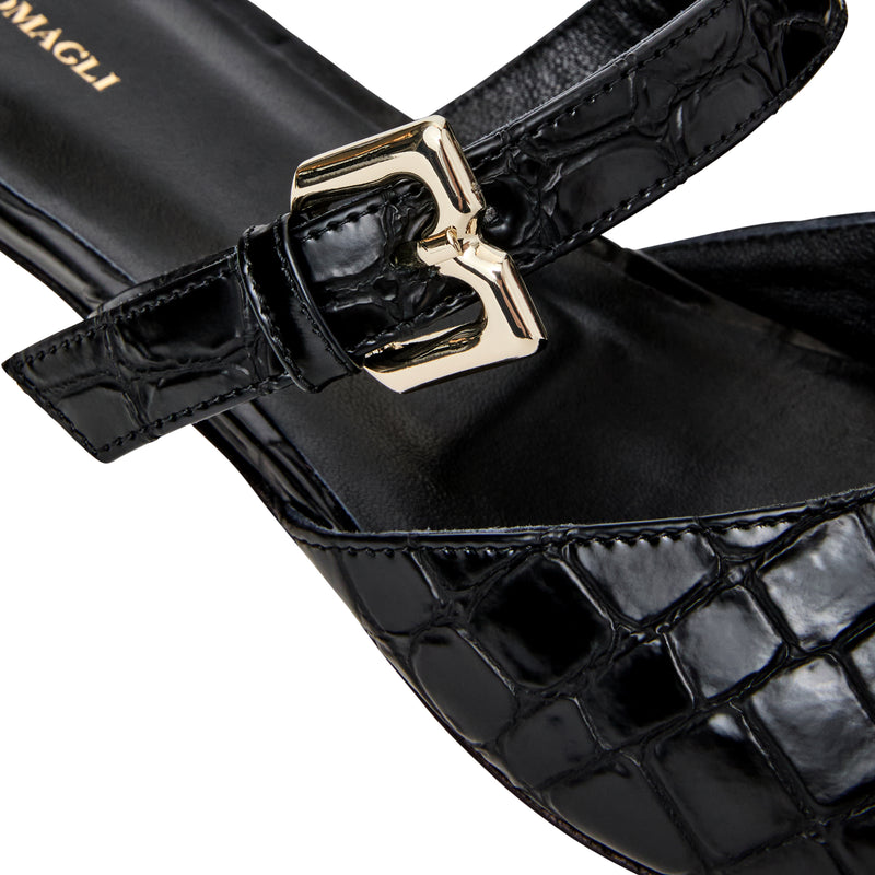 Pasha Mule