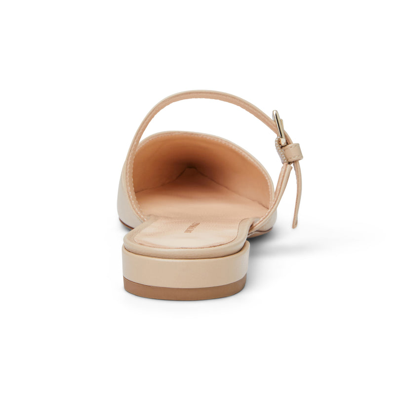Pasha Mule