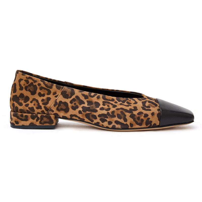 Patria Flat