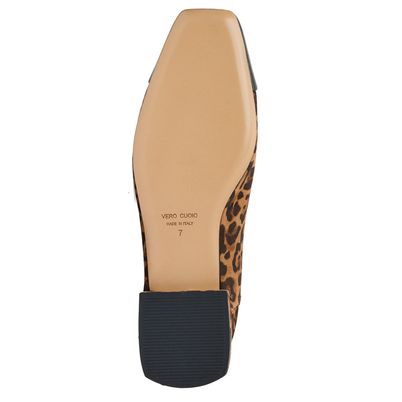 Patria Flat