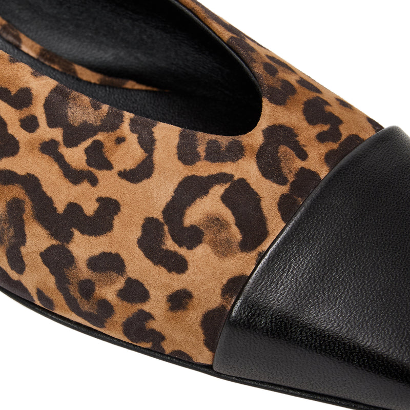 Patria Flat