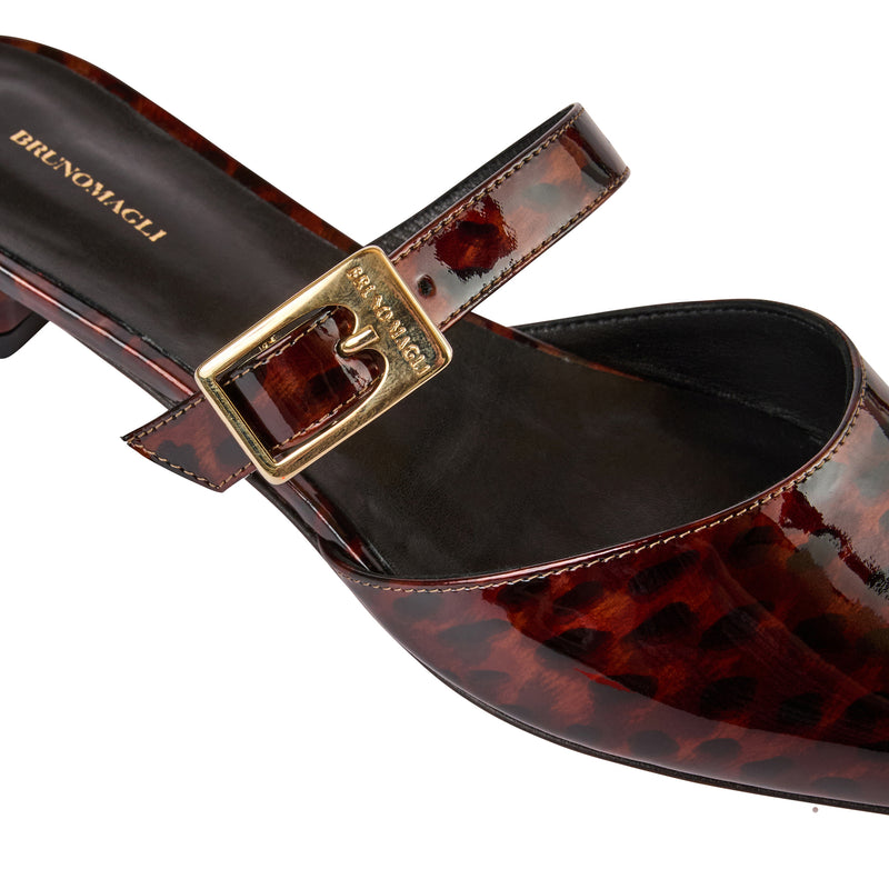 Pasha Mule