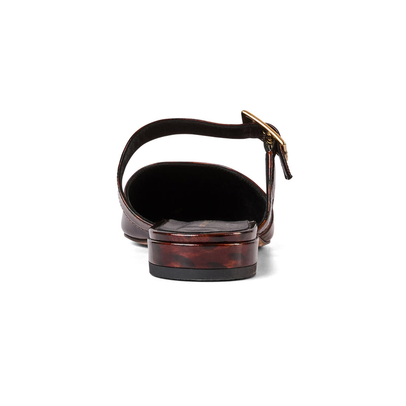 Pasha Mule