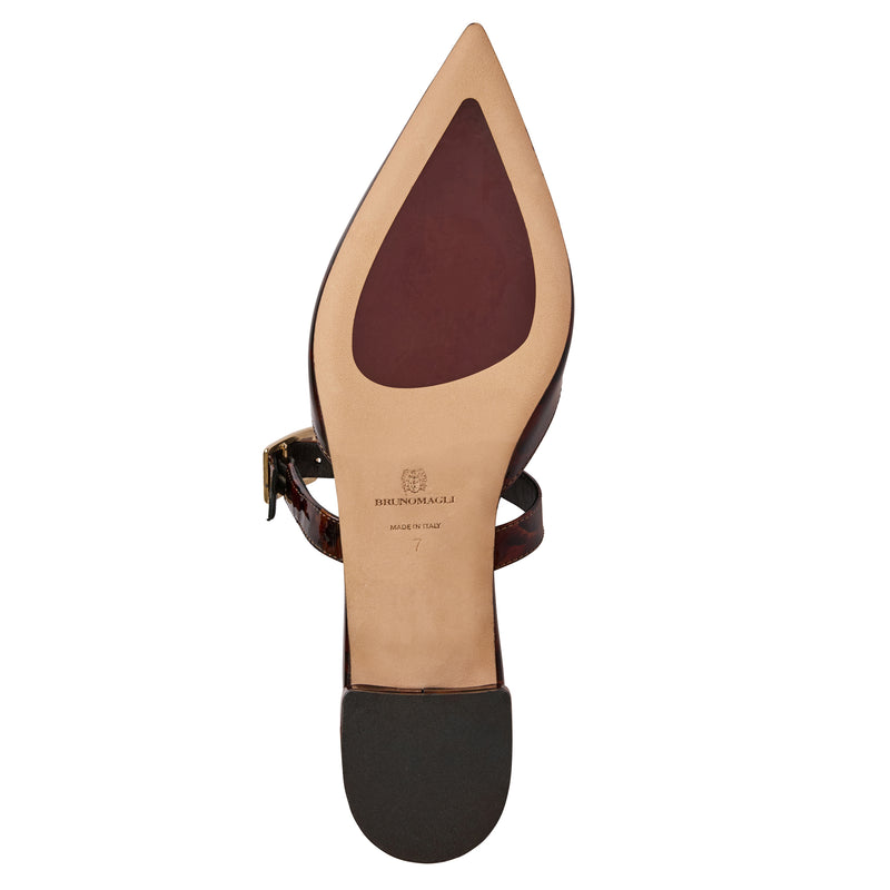 Pasha Mule