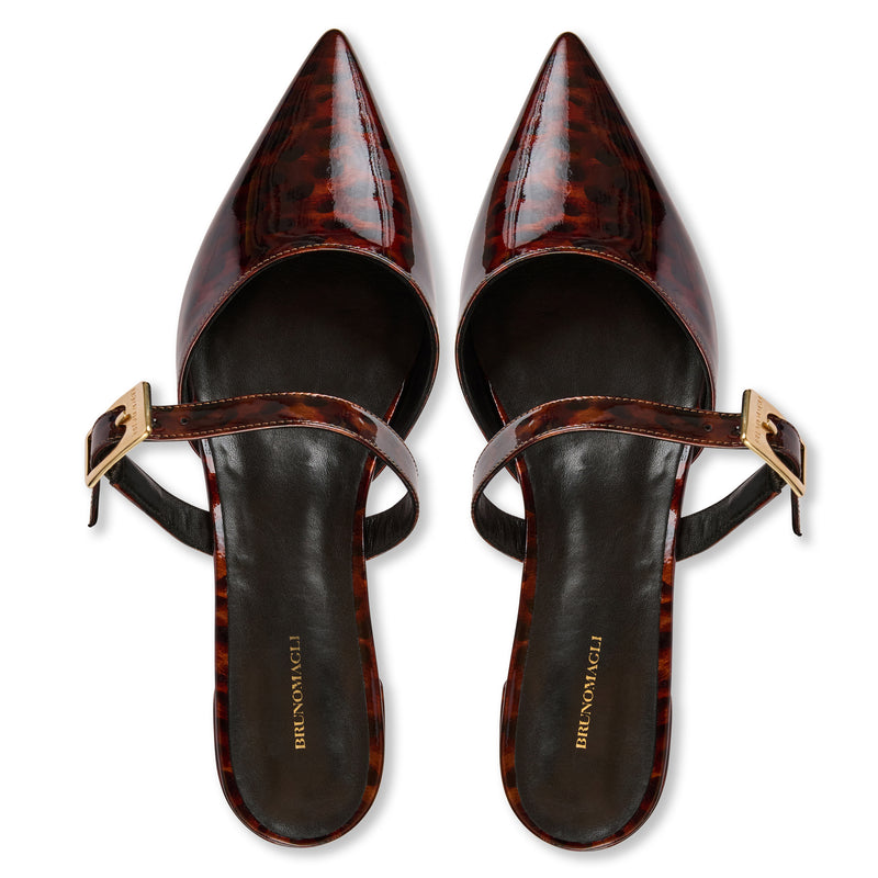Pasha Mule