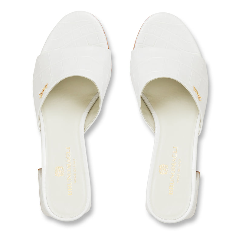 AGATA - WHITE CROC