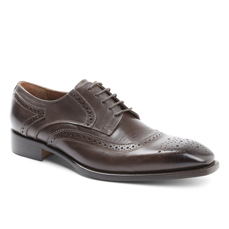 Gigilo Wing-Tip Oxford - Dark Brown