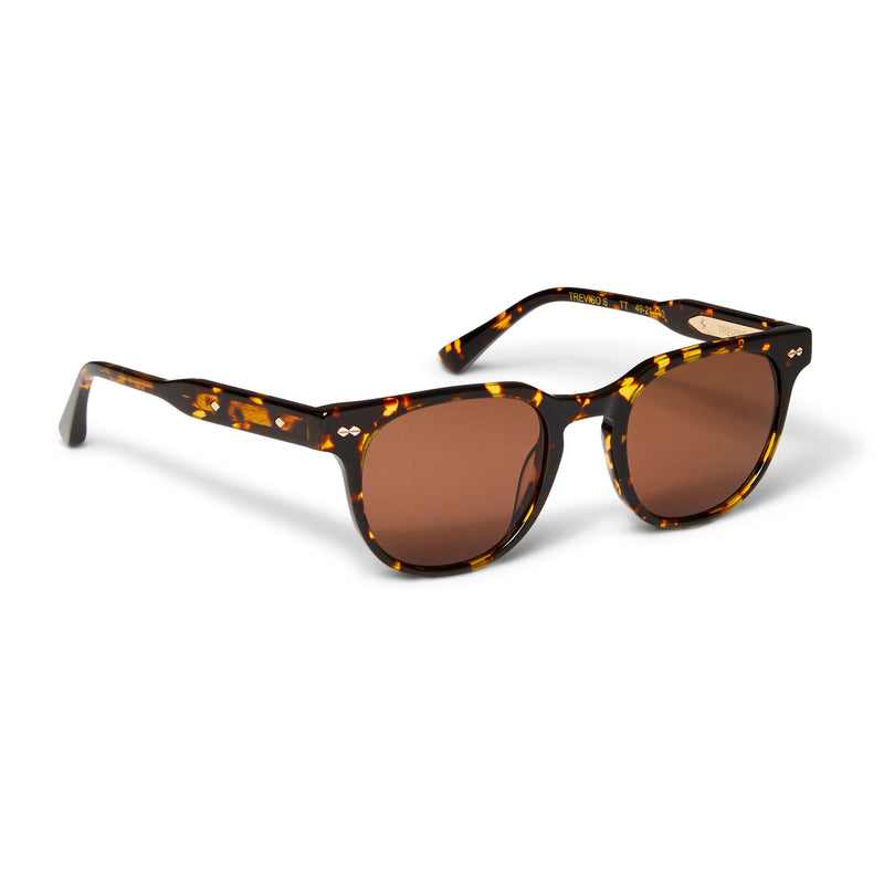 Treviso Sunglasses Tortoise