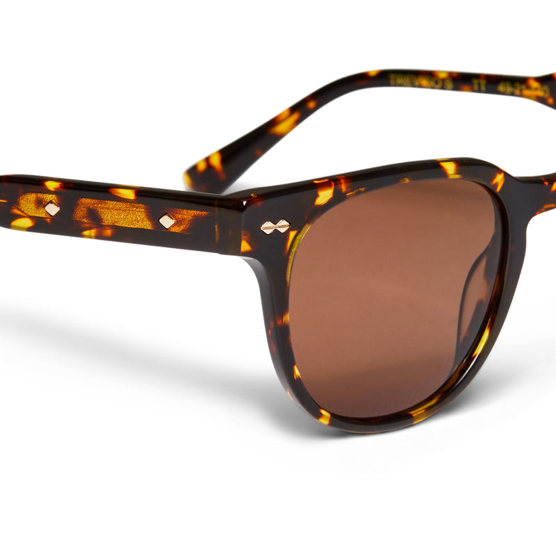 Treviso Sunglasses Tortoise