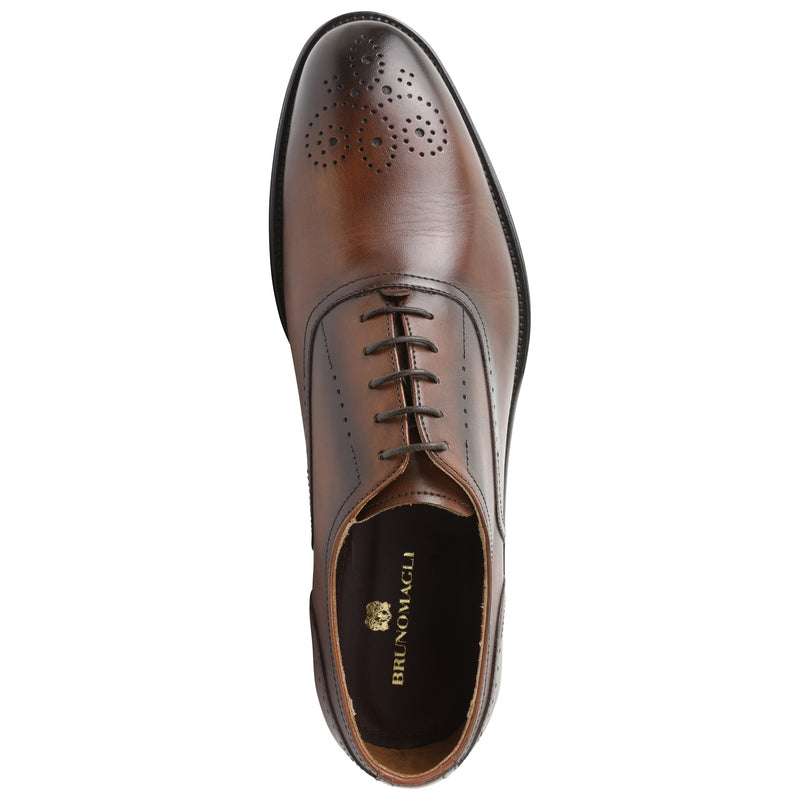 Arno Plain-Toe Balmoral Oxford - Cognac