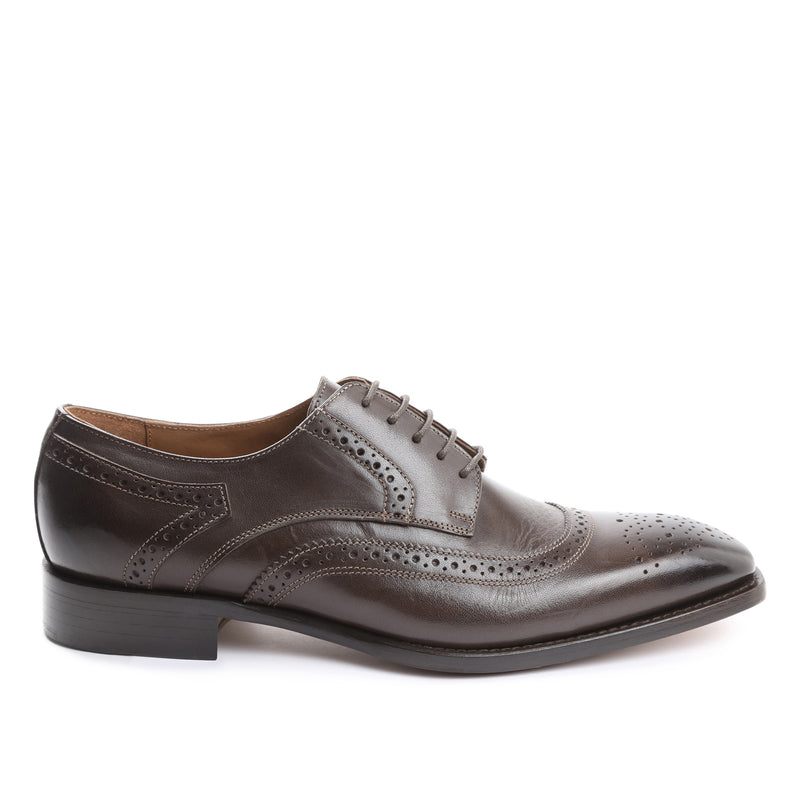 Gigilo Wing-Tip Oxford - Dark Brown